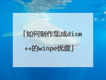 如何制作集成dism++的winpe优盘