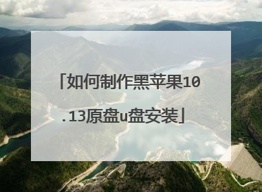 如何制作黑苹果10.13原盘u盘安装