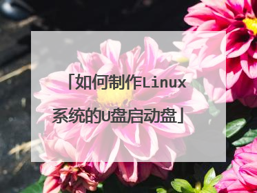 如何制作Linux系统的U盘启动盘