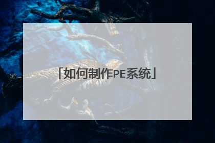 如何制作PE系统