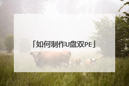 如何制作U盘双PE