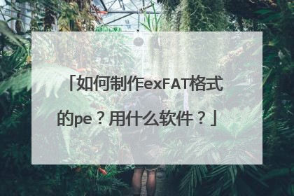 如何制作exFAT格式的pe?用什么软件?