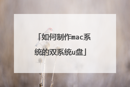 如何制作mac系统的双系统u盘