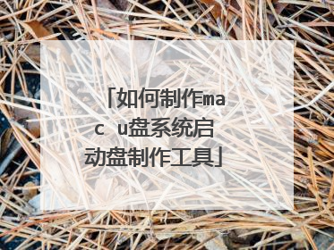 如何制作mac u盘系统启动盘制作工具