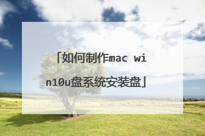 如何制作mac win10u盘系统安装盘