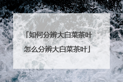 如何分辨大白菜茶叶 怎么分辨大白菜茶叶