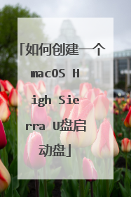 如何创建一个macOS High Sierra U盘启动盘