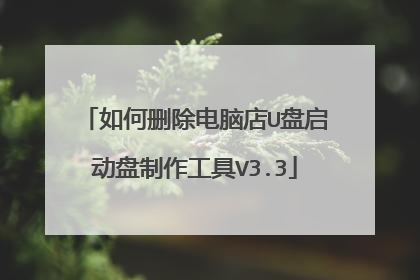 如何删除电脑店U盘启动盘制作工具V3.3