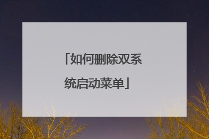 如何删除双系统启动菜单