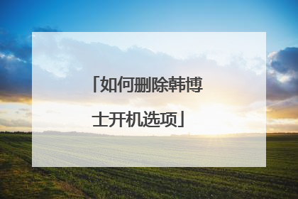 如何删除韩博士开机选项