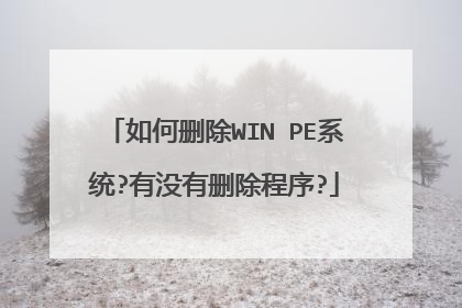如何删除WIN PE系统?有没有删除程序?