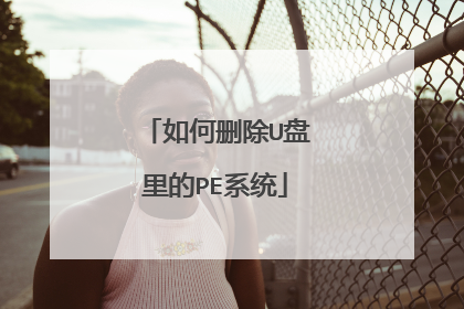 如何删除U盘里的PE系统