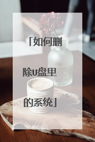 如何删除U盘里的系统