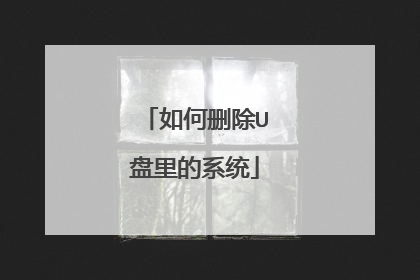 如何删除U盘里的系统