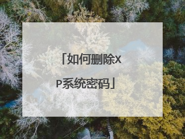 如何删除XP系统密码