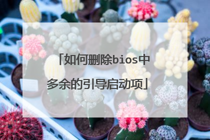 如何删除bios中多余的引导启动项