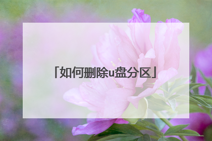 如何删除u盘分区