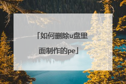 如何删除u盘里面制作的pe