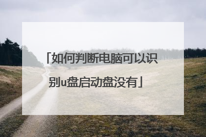 如何判断电脑可以识别u盘启动盘没有
