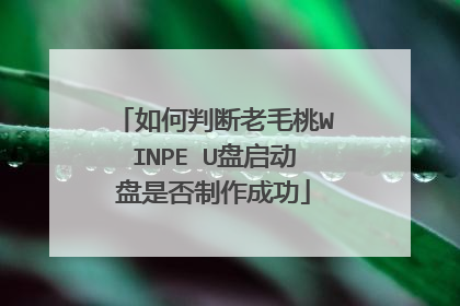 如何判断老毛桃WINPE U盘启动盘是否制作成功