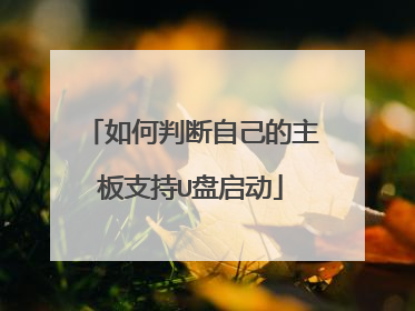 如何判断自己的主板支持U盘启动