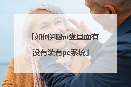 如何判断u盘里面有没有装有pe系统