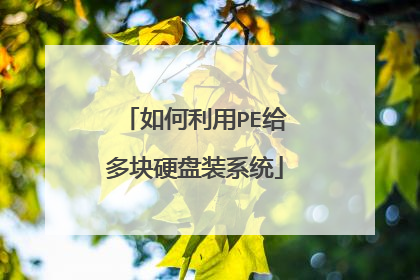 如何利用PE给多块硬盘装系统