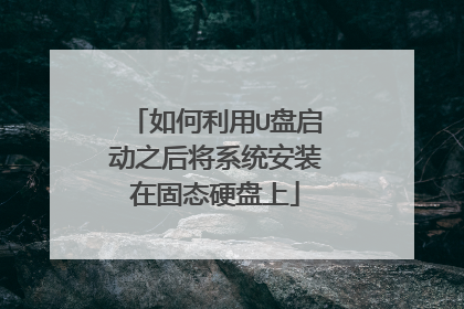 如何利用U盘启动之后将系统安装在固态硬盘上