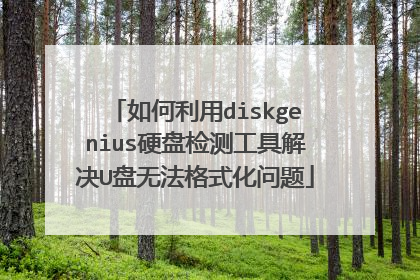 如何利用diskgenius硬盘检测工具解决U盘无法格式化问题