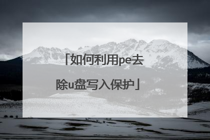 如何利用pe去除u盘写入保护