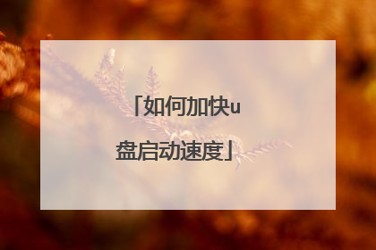 如何加快u盘启动速度