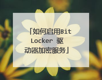 如何启用BitLocker 驱动器加密服务