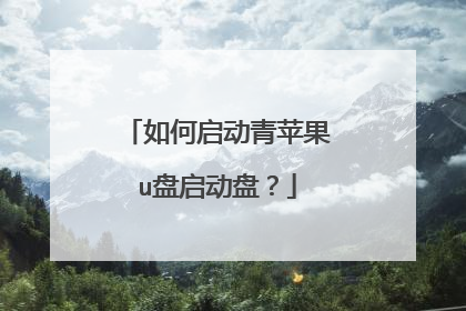 如何启动青苹果u盘启动盘?