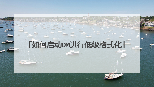 如何启动DM进行低级格式化