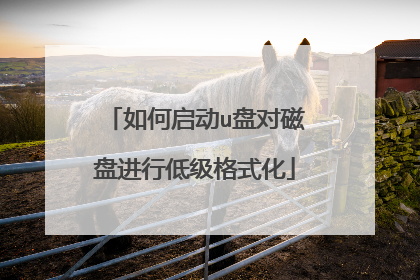 如何启动u盘对磁盘进行低级格式化