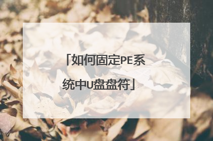 如何固定PE系统中U盘盘符
