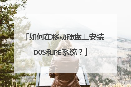 如何在移动硬盘上安装DOS和PE系统？