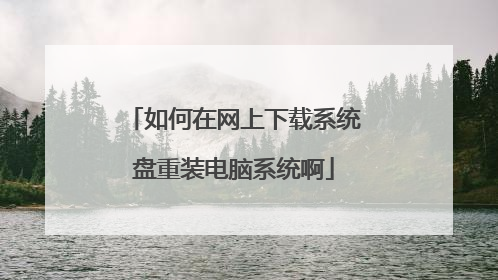 如何在网上下载系统盘重装电脑系统啊