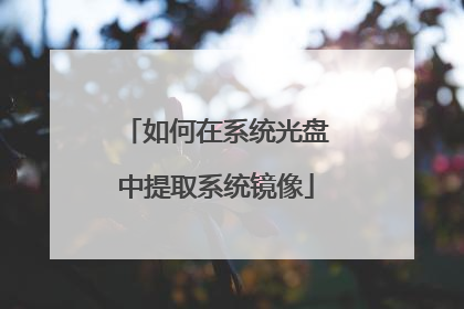 如何在系统光盘中提取系统镜像