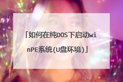 如何在纯DOS下启动winPE系统(U盘环境)