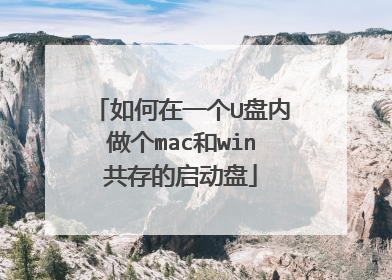如何在一个U盘内做个mac和win共存的启动盘