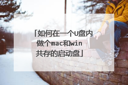 如何在一个U盘内做个mac和win共存的启动盘