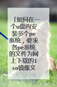 如何在一个u盘内安装多个pe系统，要求各pe系统的文件为网上下载的iso镜像文件。