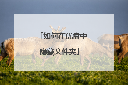 如何在优盘中隐藏文件夹