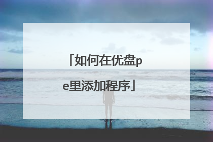 如何在优盘pe里添加程序