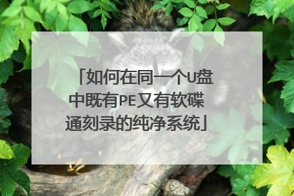 如何在同一个U盘中既有PE又有软碟通刻录的纯净系统