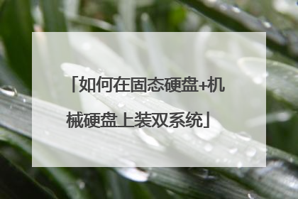 如何在固态硬盘+机械硬盘上装双系统