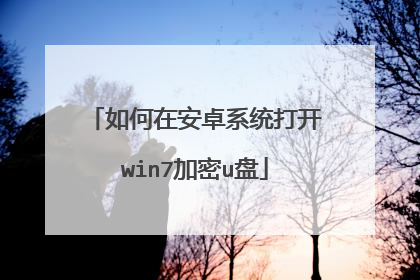 如何在安卓系统打开win7加密u盘