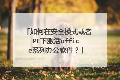 如何在安全模式或者PE下激活office系列办公软件？