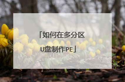 如何在多分区U盘制作PE